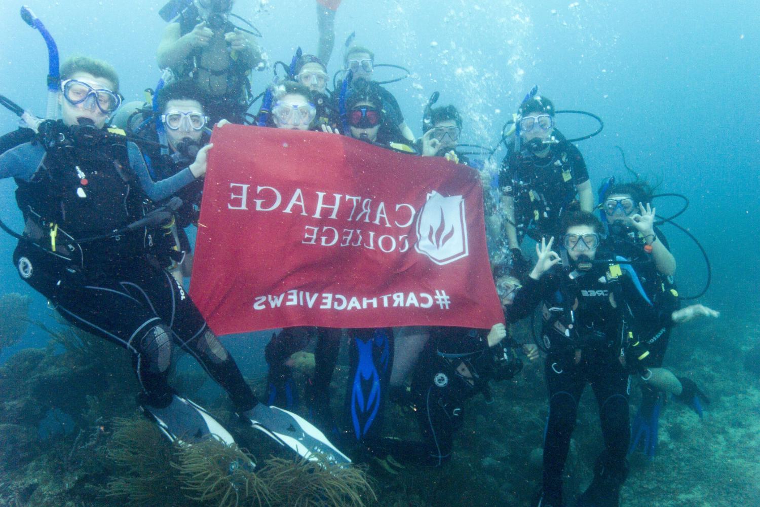 学生们手持<a href='http://cfsf.ngskmc-eis.net'>bv伟德ios下载</a>旗帜，在j学期洪都拉斯游学之旅中潜水.